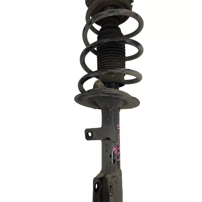 Ammortizzatore anteriore sinistro