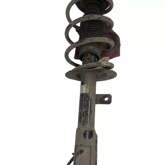 Ammortizzatore anteriore sinistro