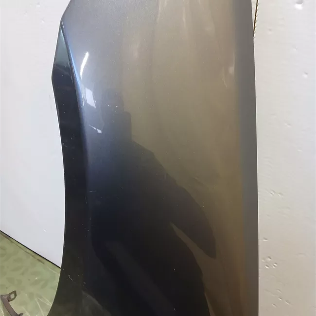 Parafango anteriore sinistro