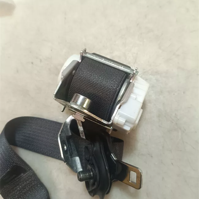 Cintura di sicurezza posteriore sinistra