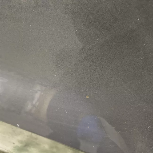 Porta posteriore sinistra