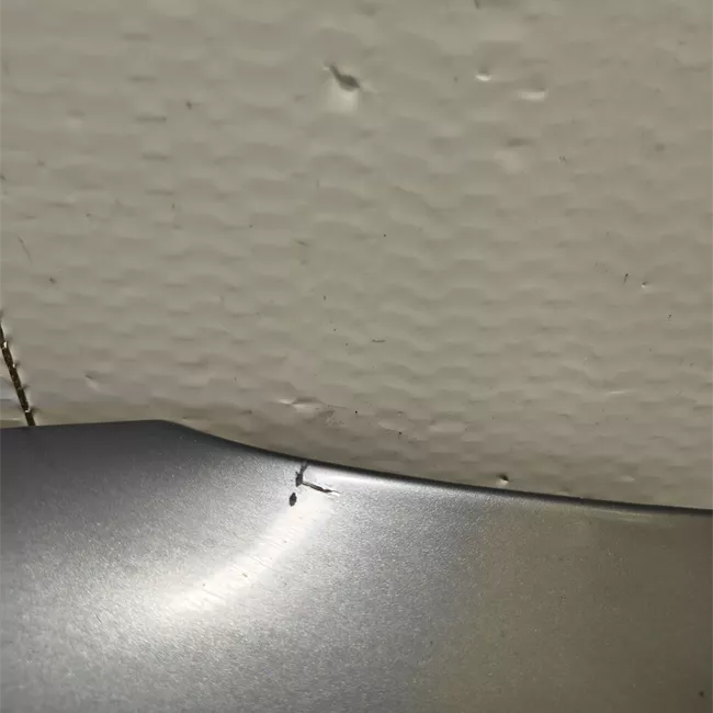 Parafango anteriore sinistro primer