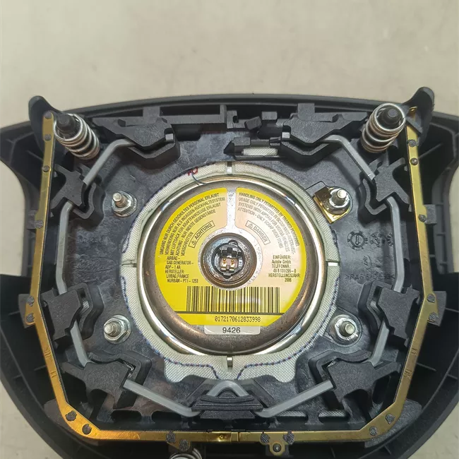 Dispositivo airbag lato guida