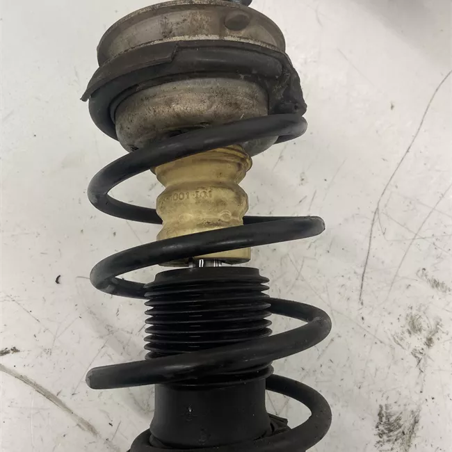 Ammortizzatore anteriore sinistro