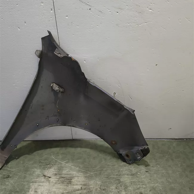 Parafango anteriore sinistro