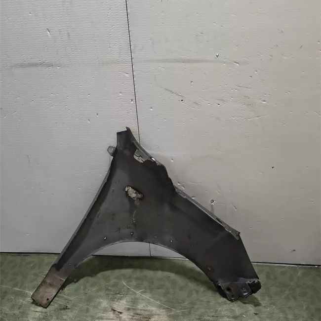 Parafango anteriore sinistro