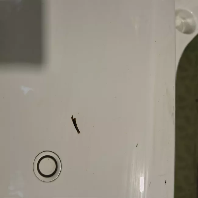 Paraurti posteriore assistente parchiusura primer