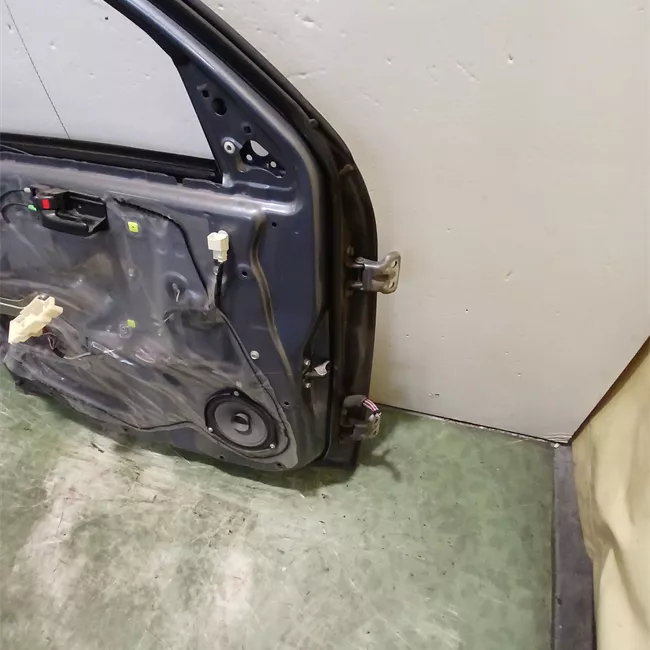 Porta anteriore sinistra