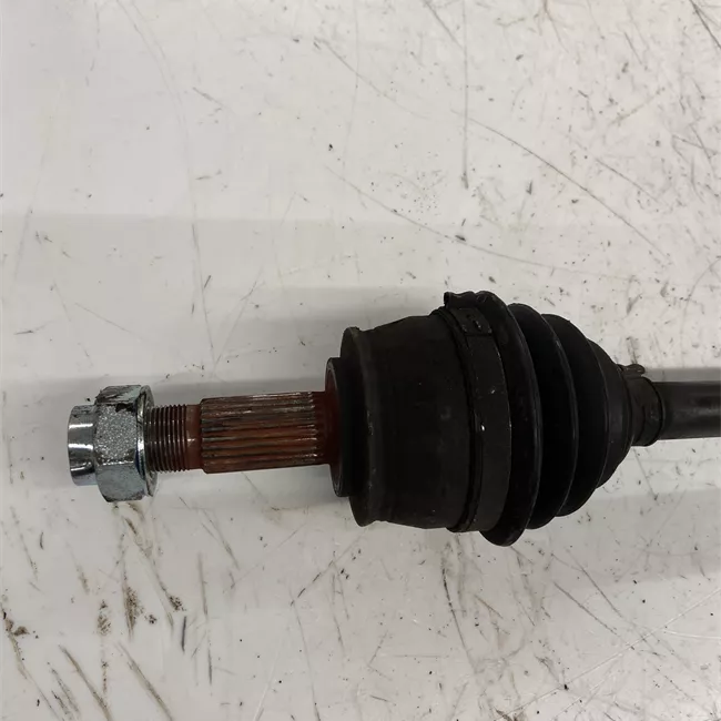 Semialbero anteriore completo destro