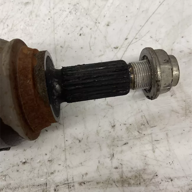 Semialbero anteriore completo sinistro