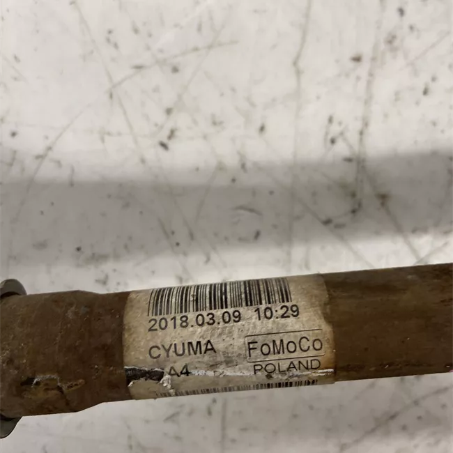 Semialbero anteriore completo sinistro