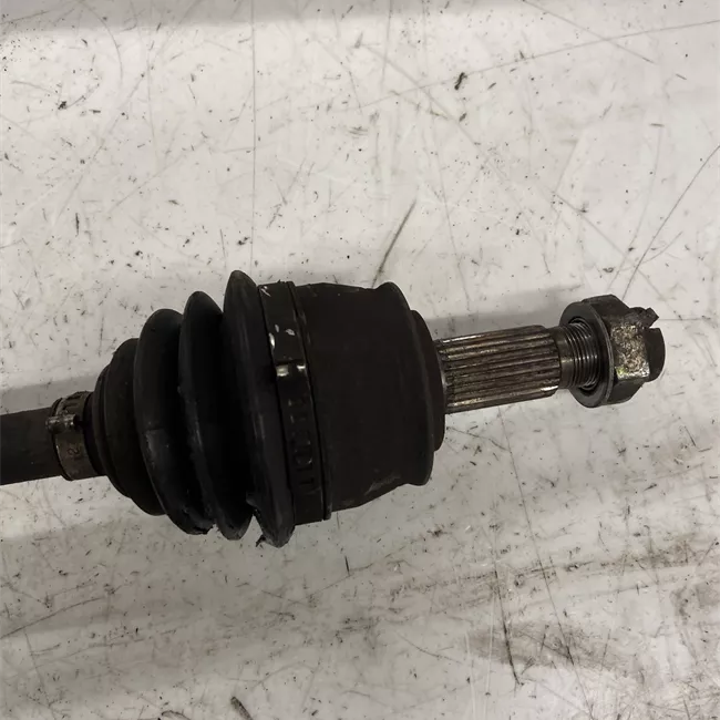 Semialbero anteriore completo sinistro