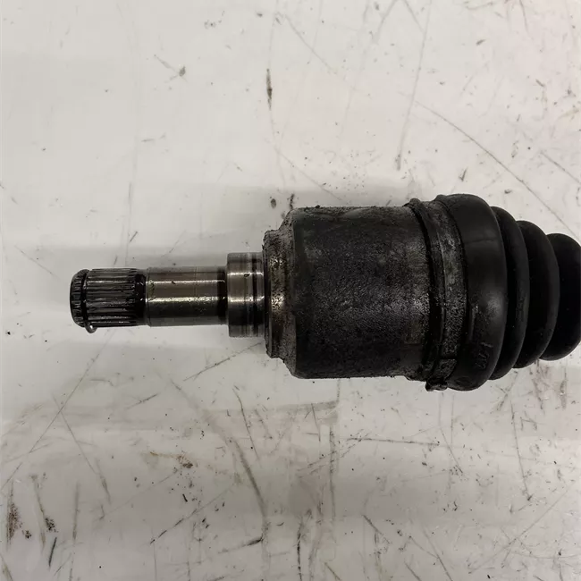 Semialbero anteriore completo sinistro