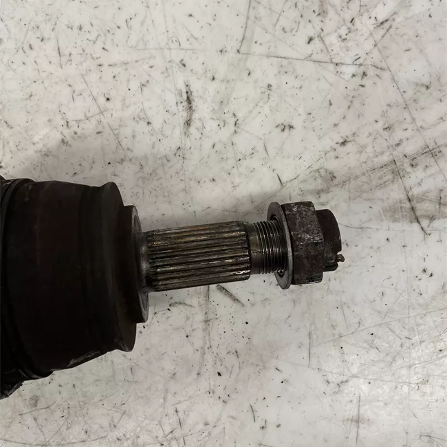 Semialbero anteriore completo sinistro