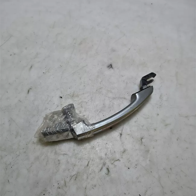 Maniglia porta anteriore sinistra primer