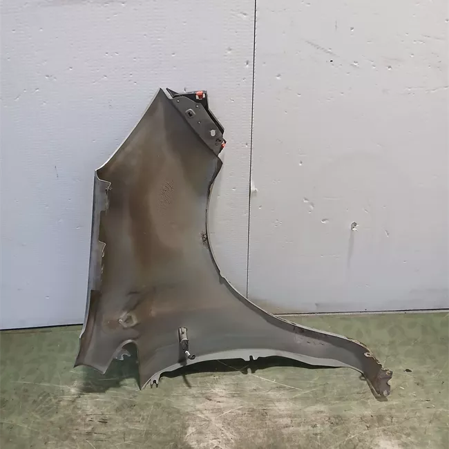 Parafango anteriore sinistro