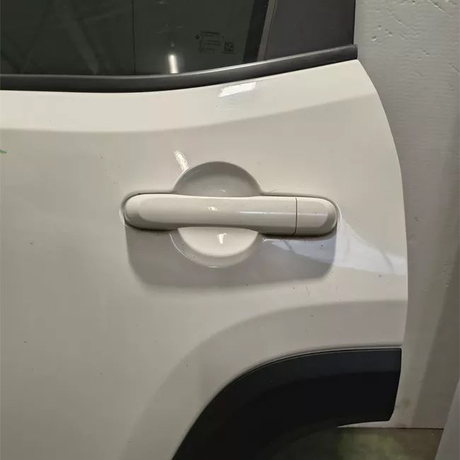 Porta posteriore sinistra