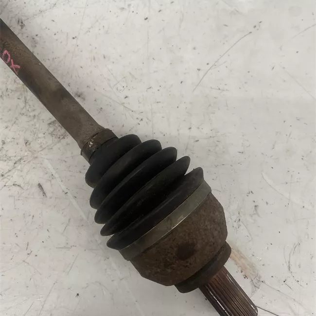 Semialbero anteriore completo destro