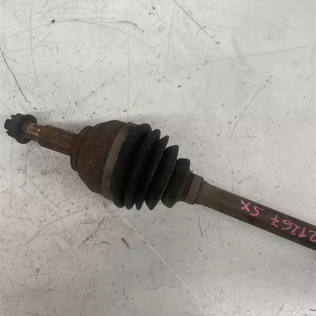 Semialbero anteriore completo sinistro