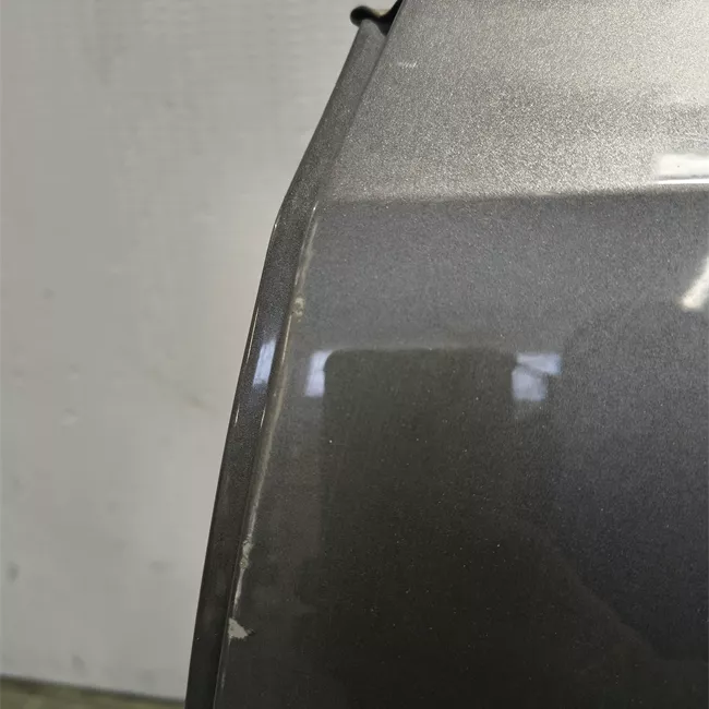 Porta posteriore sinistra