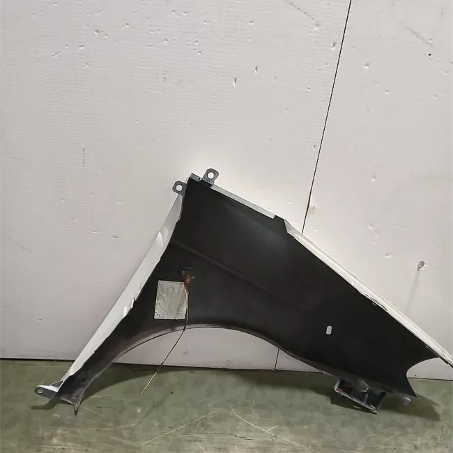 Parafango anteriore sinistro