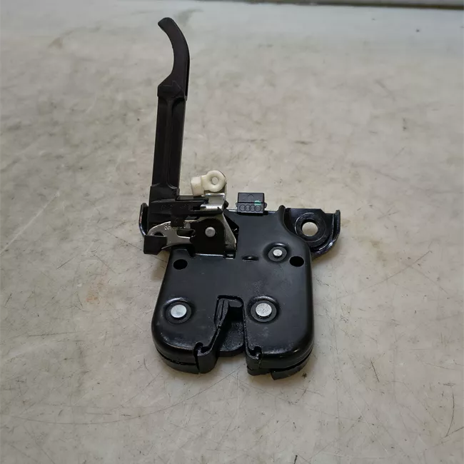 Serratura portello posteriore con microinterruttore