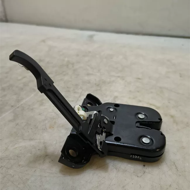 Serratura portello posteriore con microinterruttore