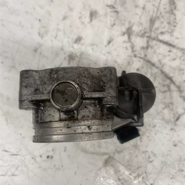 Corpo farfallato rotazionale