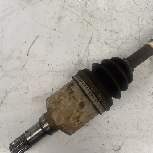 Semialbero anteriore completo sinistro