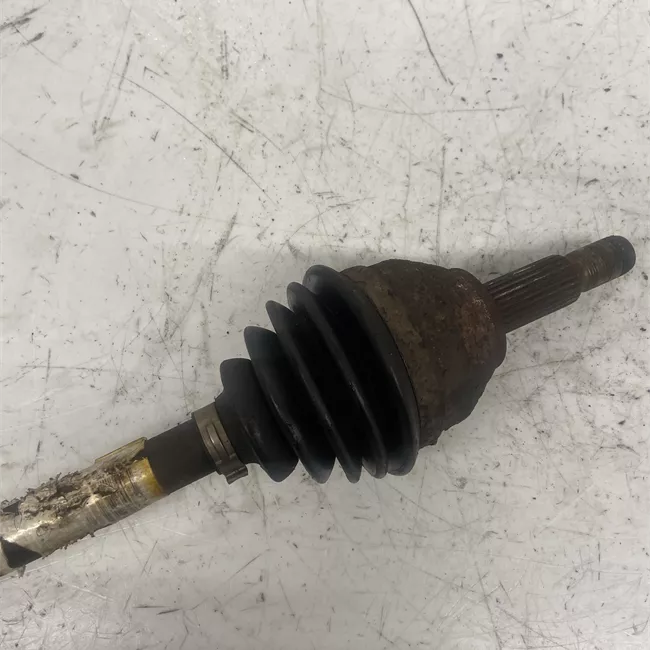 Semialbero anteriore completo sinistro