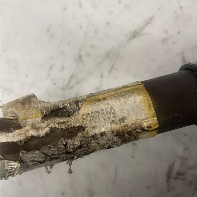 Semialbero anteriore completo sinistro