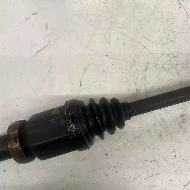 Semialbero anteriore completo destro