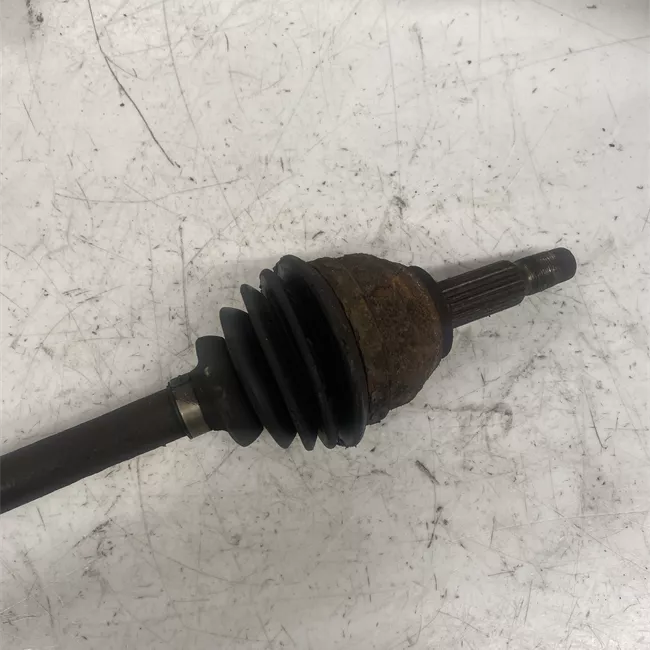 Semialbero anteriore completo destro