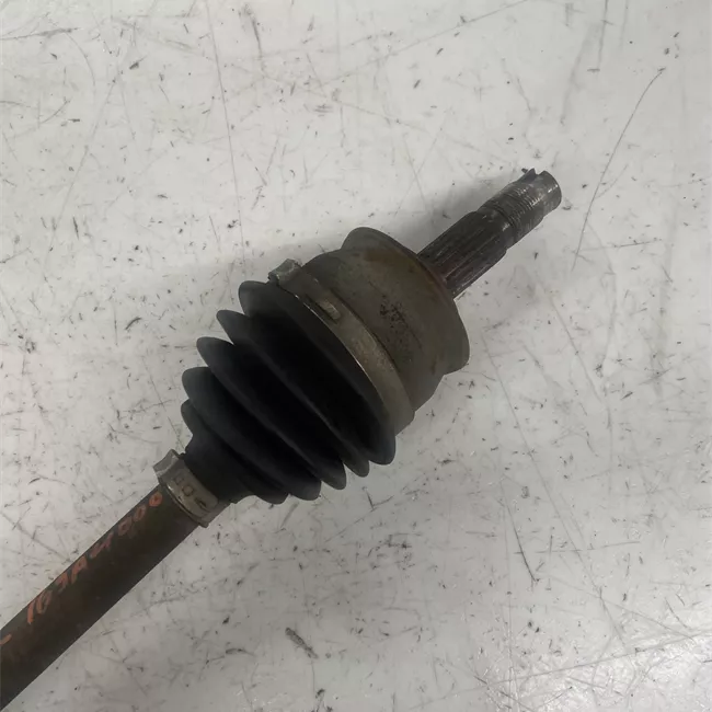 Semialbero anteriore completo sinistro