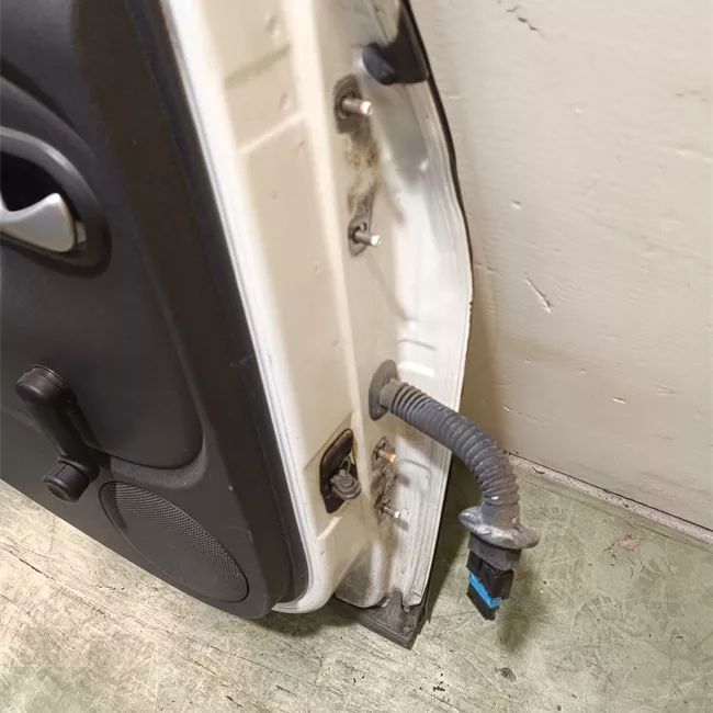 Porta posteriore sinistra