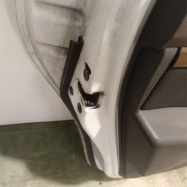 Porta posteriore sinistra