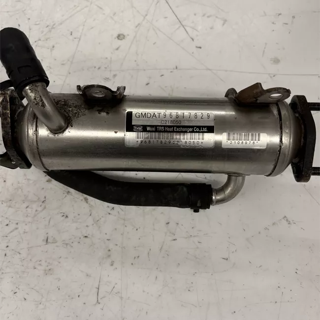 Scambiatore calore EGR