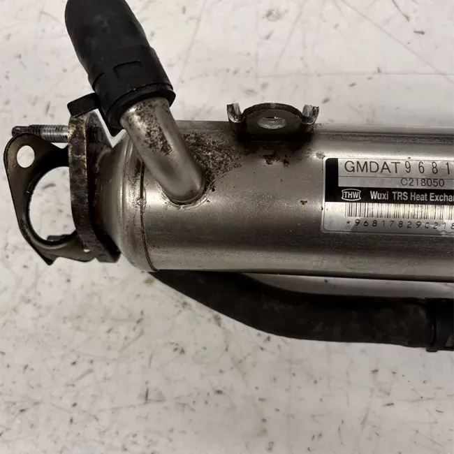 Scambiatore calore EGR