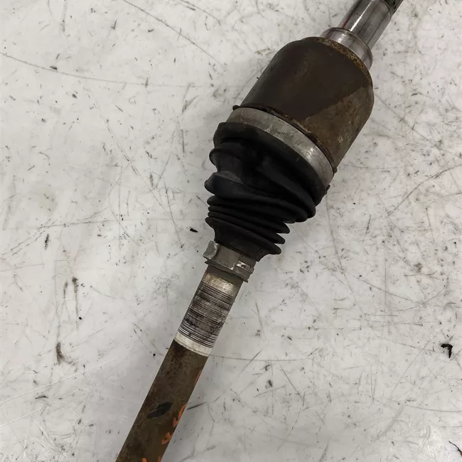 Semialbero anteriore completo sinistro