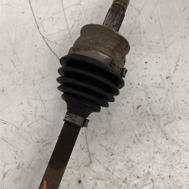 Semialbero anteriore completo destro