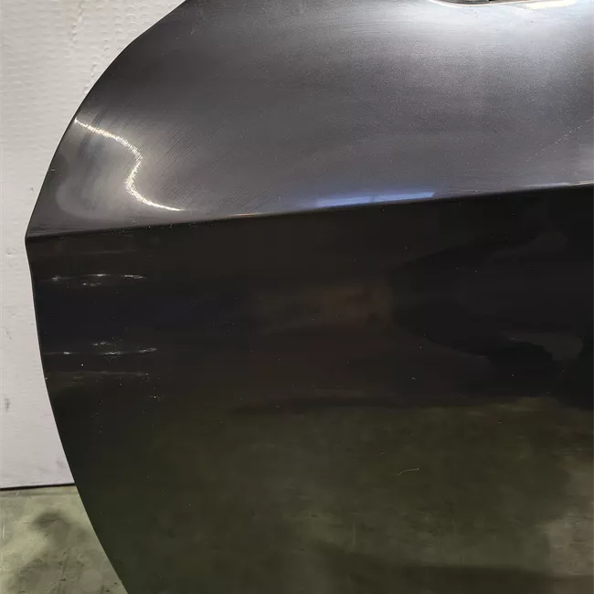 Porta anteriore sinistra