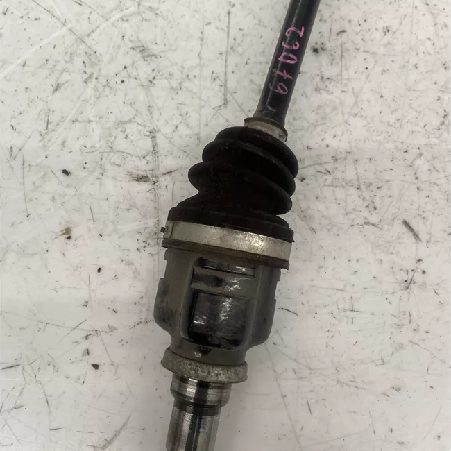 Semialbero anteriore completo sinistro