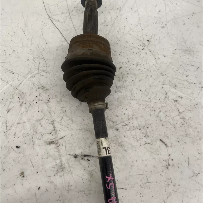 Semialbero anteriore completo sinistro