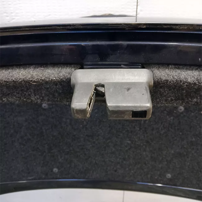 Cofano posteriore primer