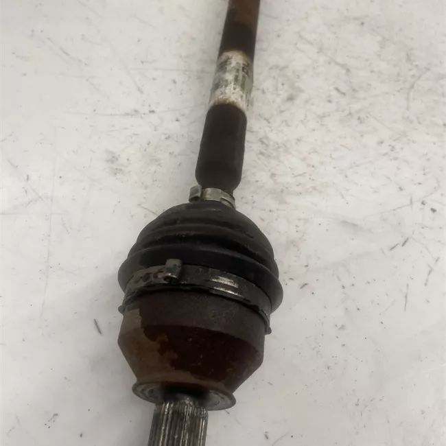 Semialbero posteriore completo destro