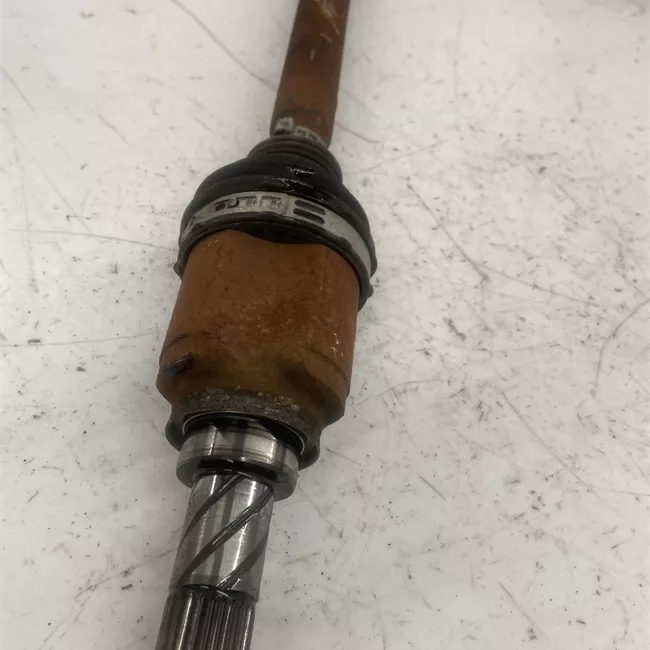 Semialbero posteriore completo destro