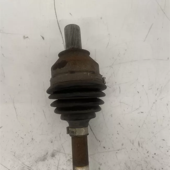 Semialbero posteriore completo sinistro