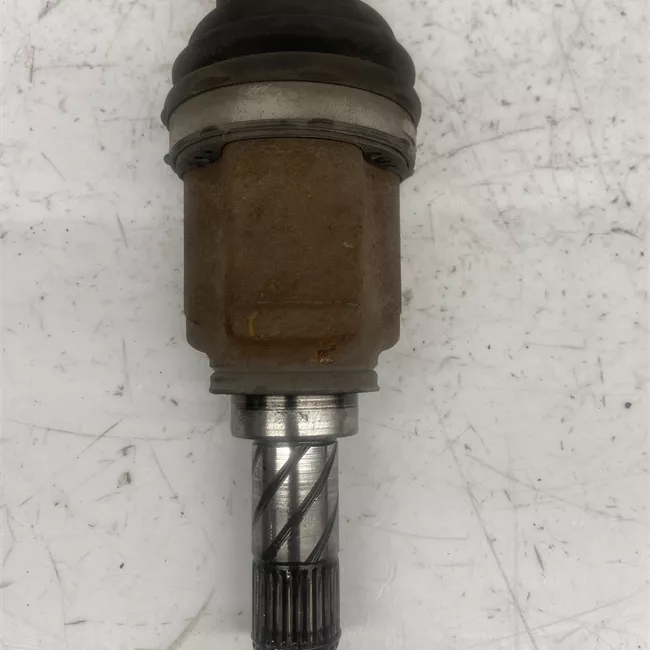 Semialbero posteriore completo sinistro