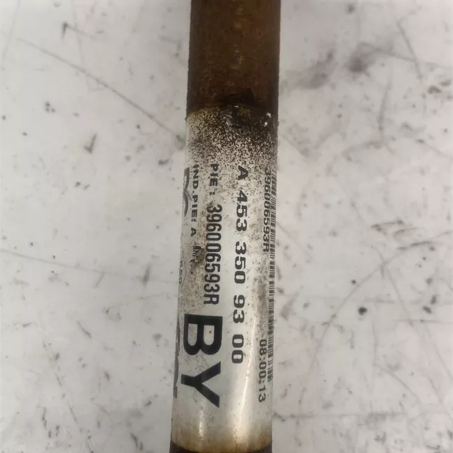 Semialbero posteriore completo sinistro