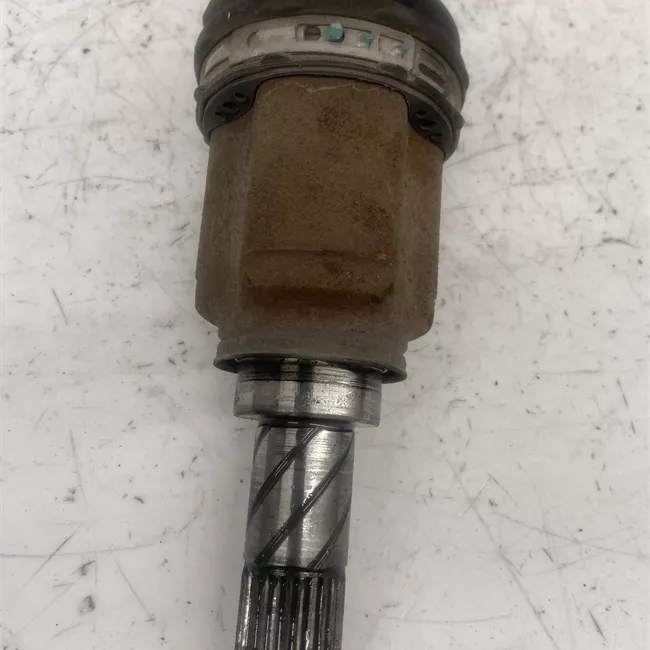 Semialbero posteriore completo sinistro